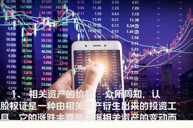 影响认股权证的价格因素