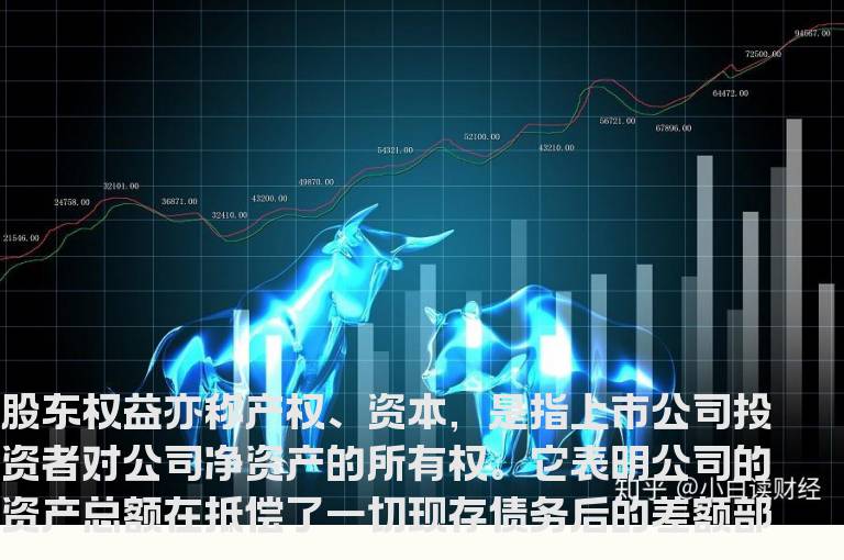 股东权益是什么意思？