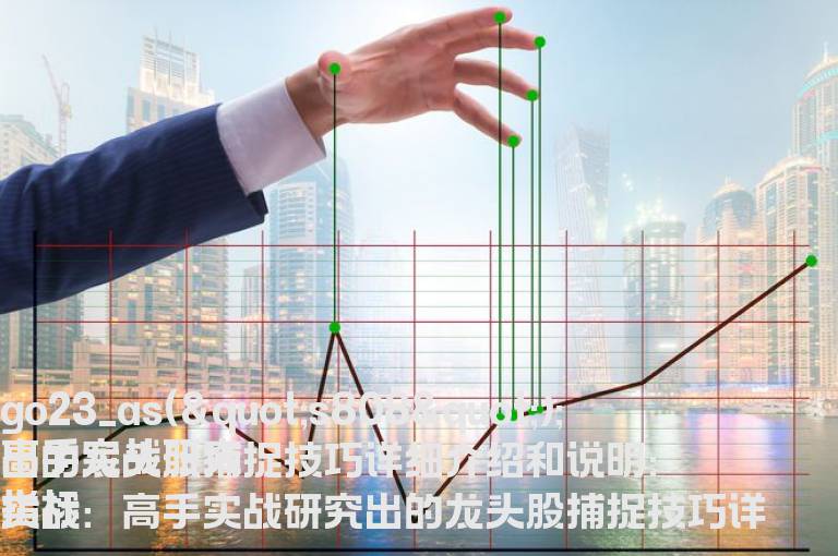 高手实战研究出的龙头股捕捉技巧