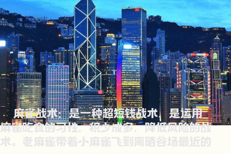 股市大赢家之麻雀战术