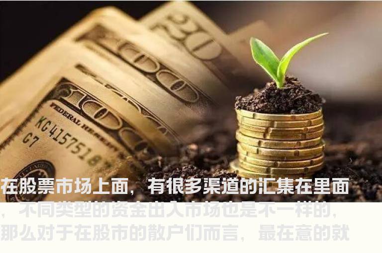 教你如何区分游资和主力