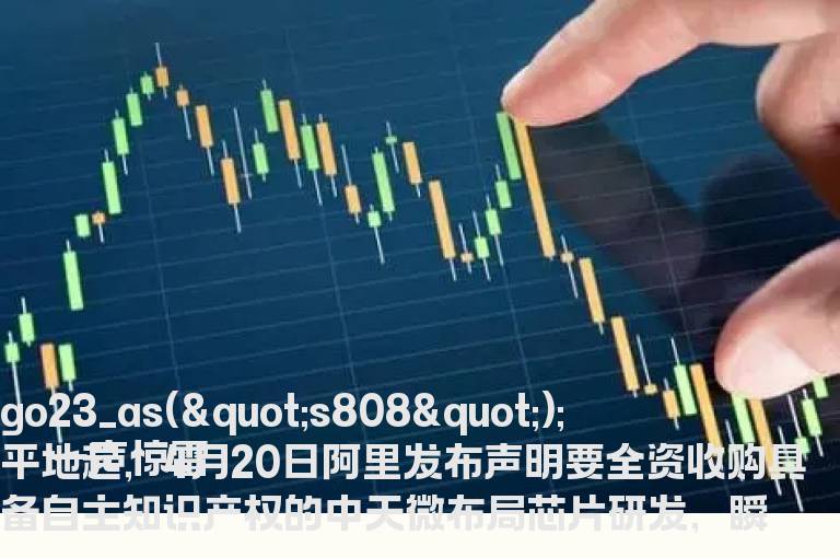 中天微股票代码到底有哪几个组成？