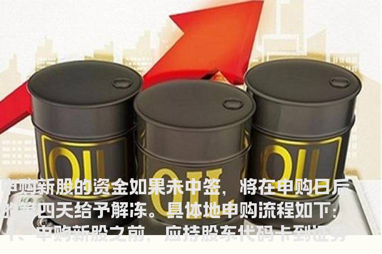 网上发行新股的申购程序