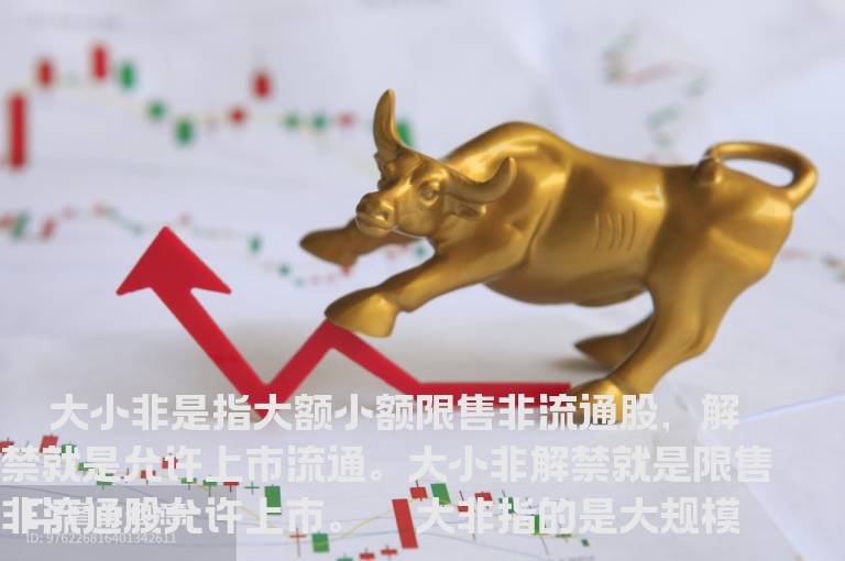 什么是大小非？