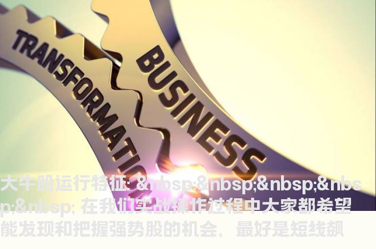 高手们抓大牛股的不传之秘