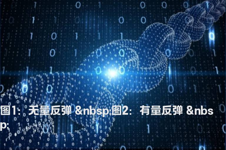 无量反弹与有量反弹