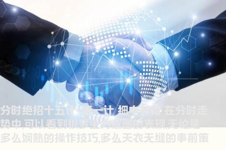 股海网★★★分时绝招---细中有粗