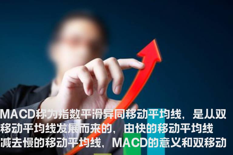 量子趋势MACD赚钱技术