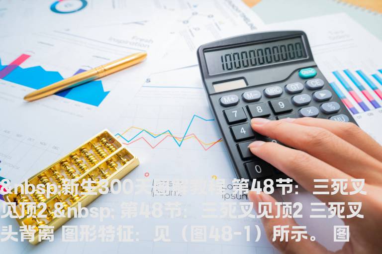 新生300天图解教程 第48节：三死叉见顶2