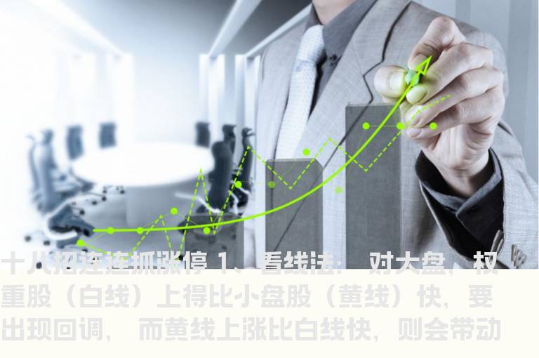 十八招连连炒股方法