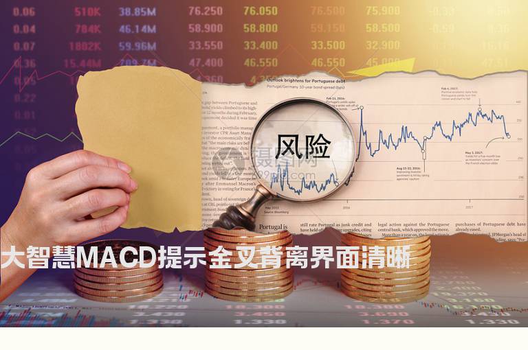 大智慧MACD提示金叉背离界面清晰