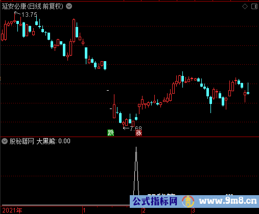 大黑熊选股公式