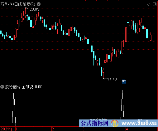 金银袋选股公式