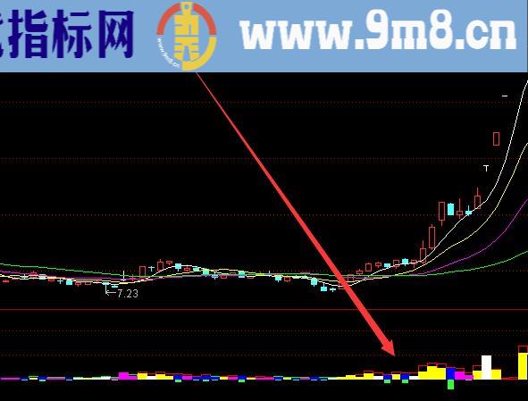 主力庄家最怕的股票跟踪算法指标公式