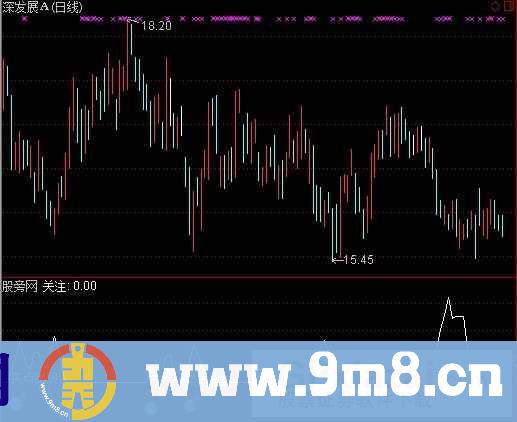 通达信牛关注指标公式