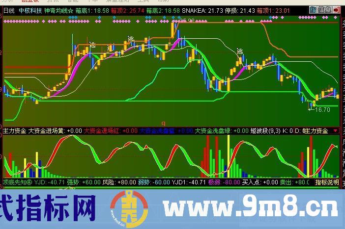 顶底先知（有图及源码）