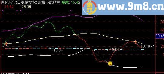 通达信猎庄笑脸主图指标(源码)