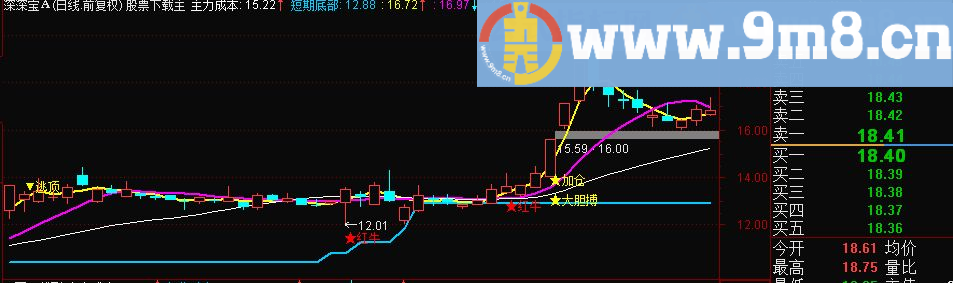 通达信铁树开花主图源码