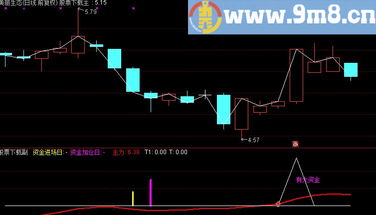 通达信资金进场-资本市场投资论坛 副图指标（TNE下载 源码 贴图）