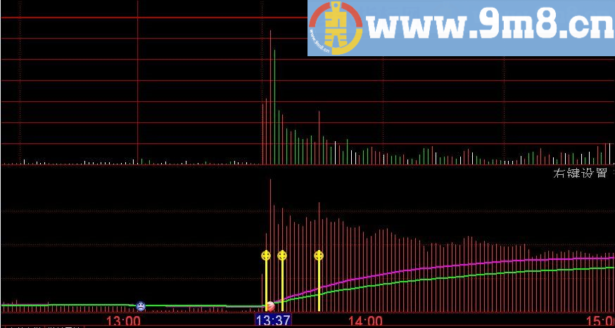 T+0两个分时指标 通达信副图指标 源码