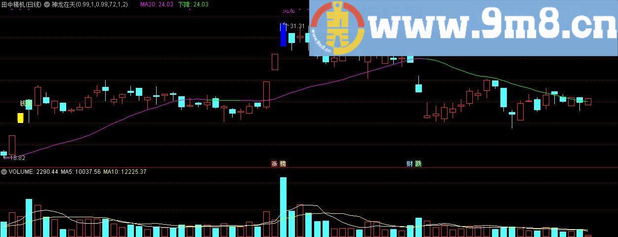 神龙在天 见龙钱龙 通达信主图指标 源码 贴图