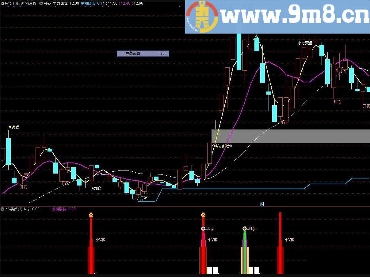 NV买点 通达信副图指标 源码 贴图 无未来