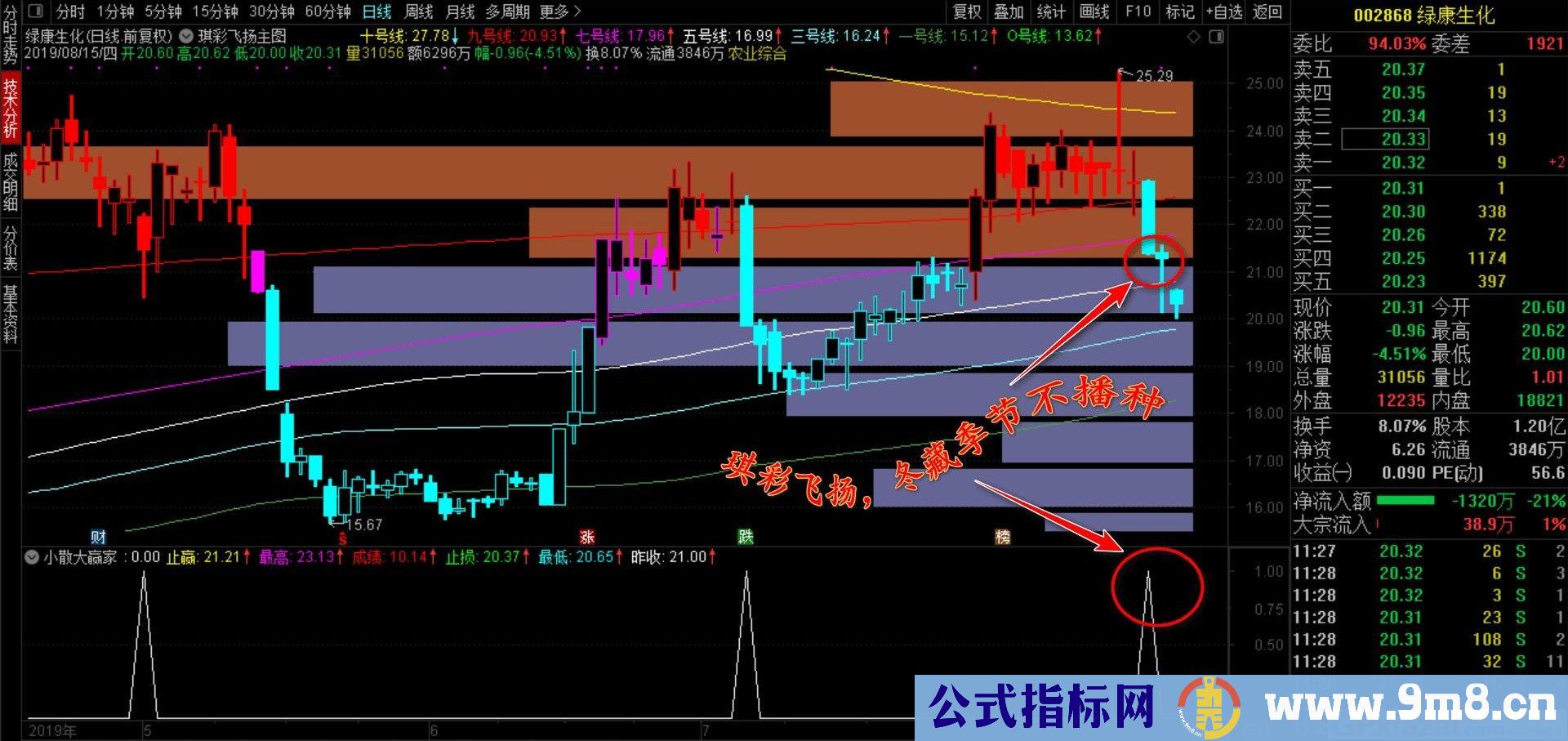 琪彩飞扬 通达信主图指标 贴图 