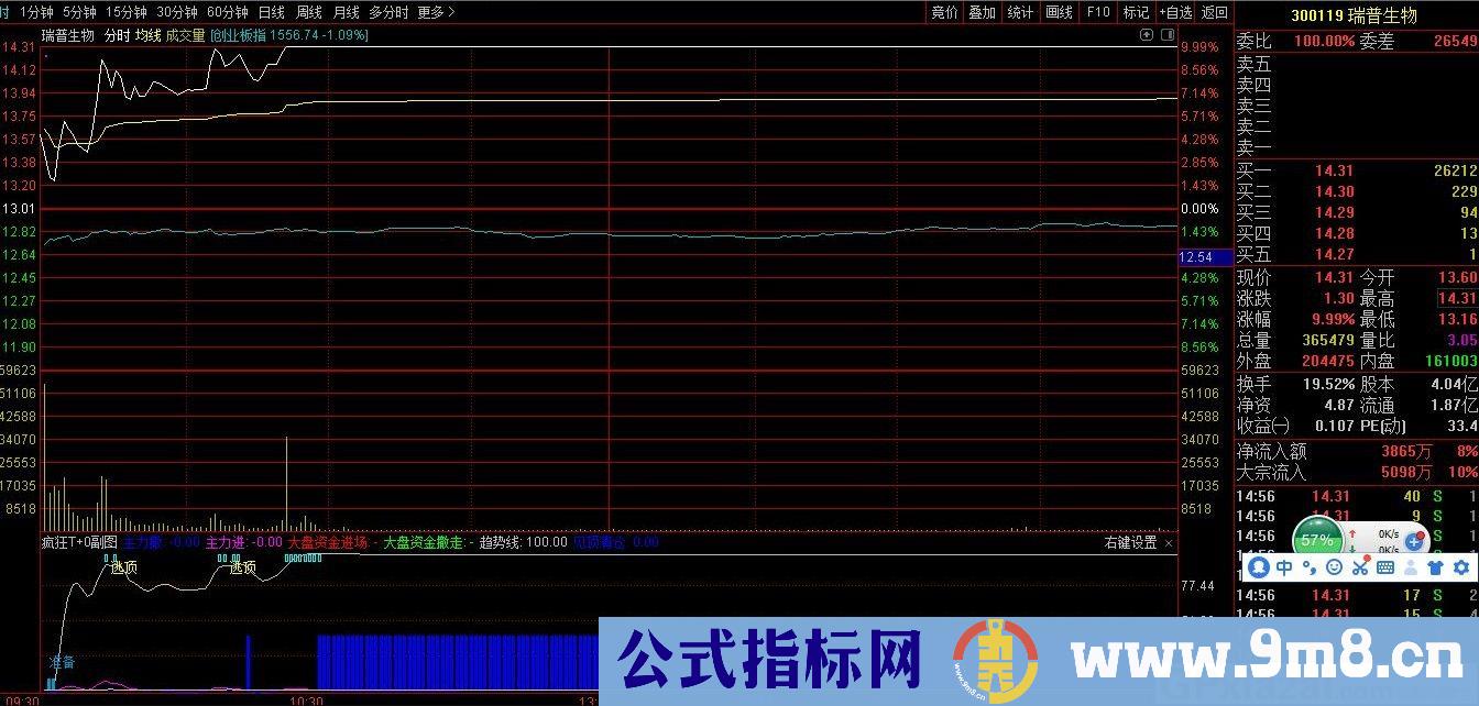 疯狂T+0副图 通达信分时副图指标 源码 贴图