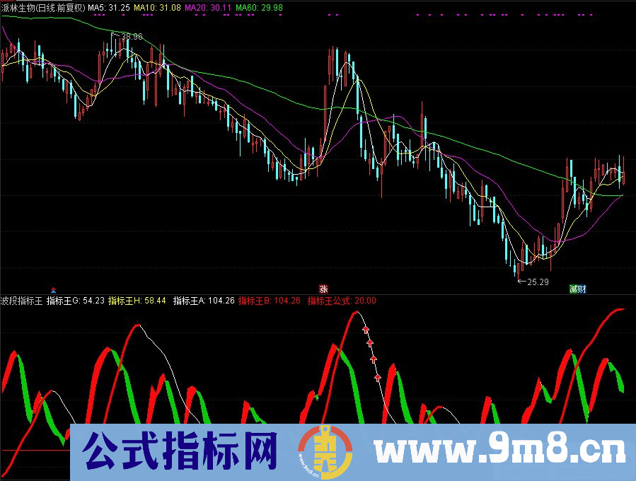 通达信波段指标王副图指标 源码 贴图