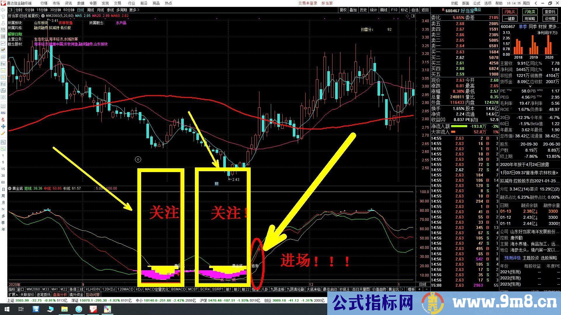 黄色出现 抄底 黄金底 通达信副图指标 源码 贴图 无未来 不漂移