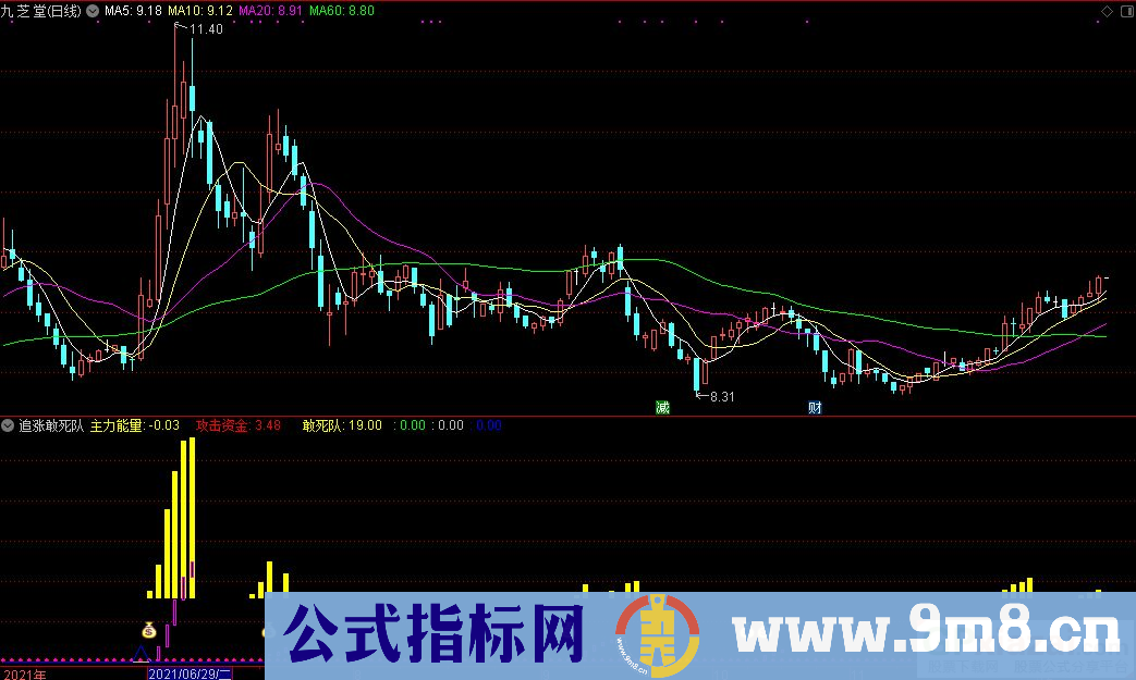 通达信追涨敢死队副图+钱袋选股指标 源码 贴图