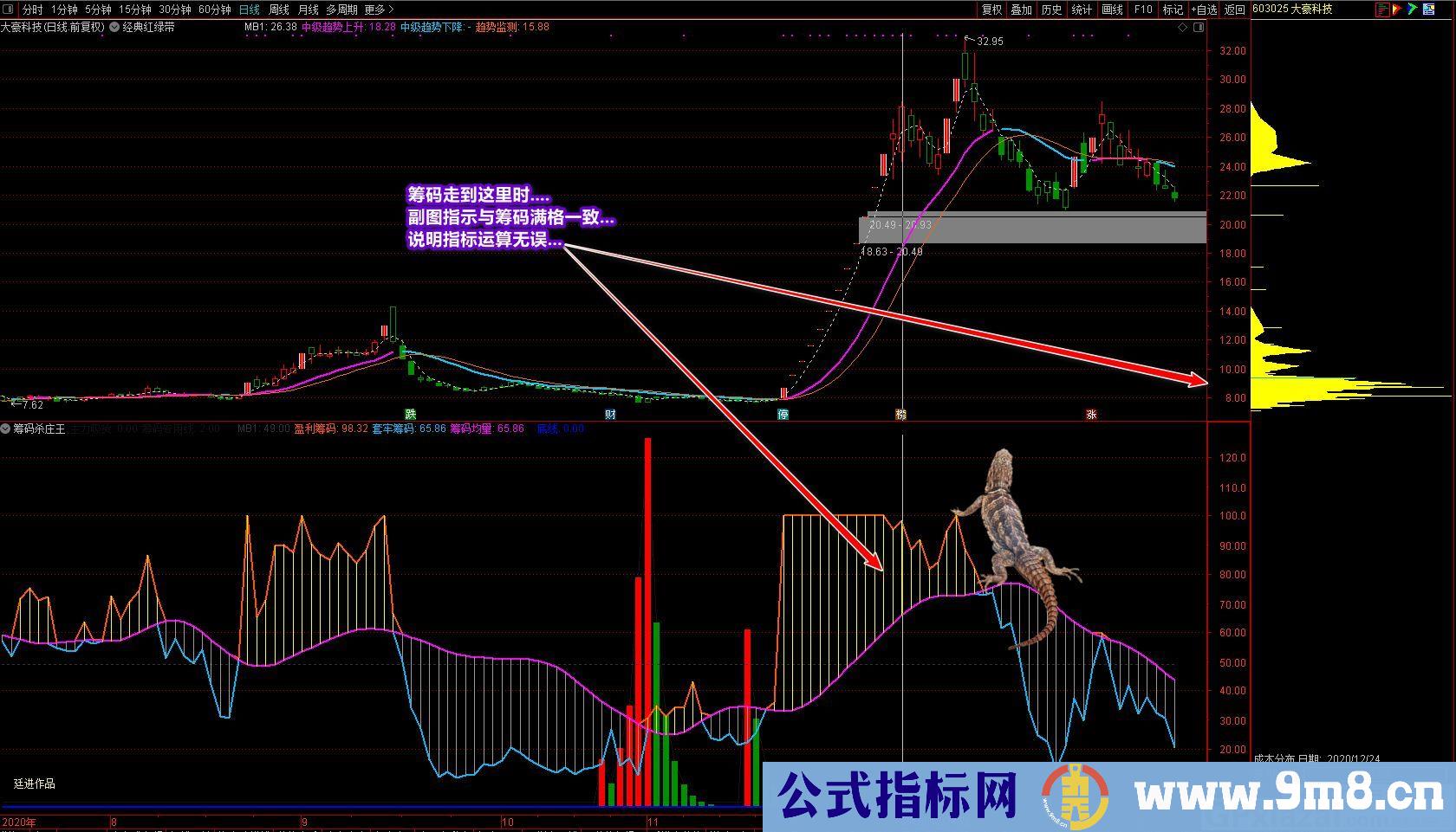廷进 筹码杀庄王 通达信副图指标 源码 贴图 无未来