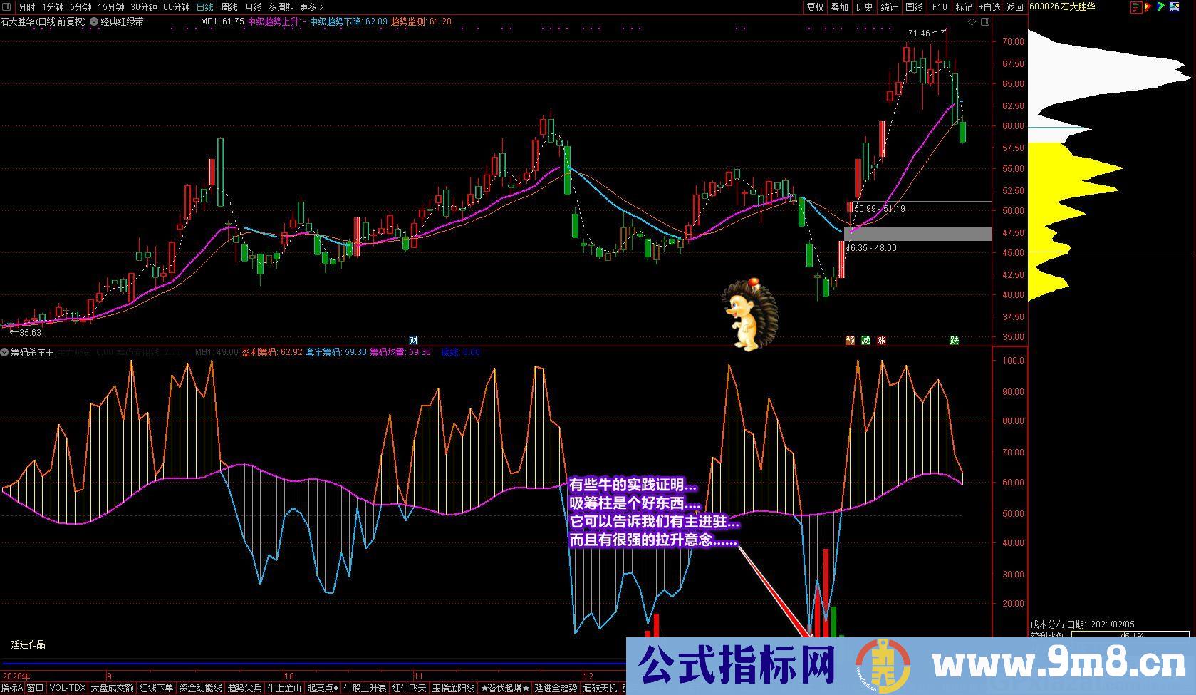 廷进 筹码杀庄王 通达信副图指标 源码 贴图 无未来