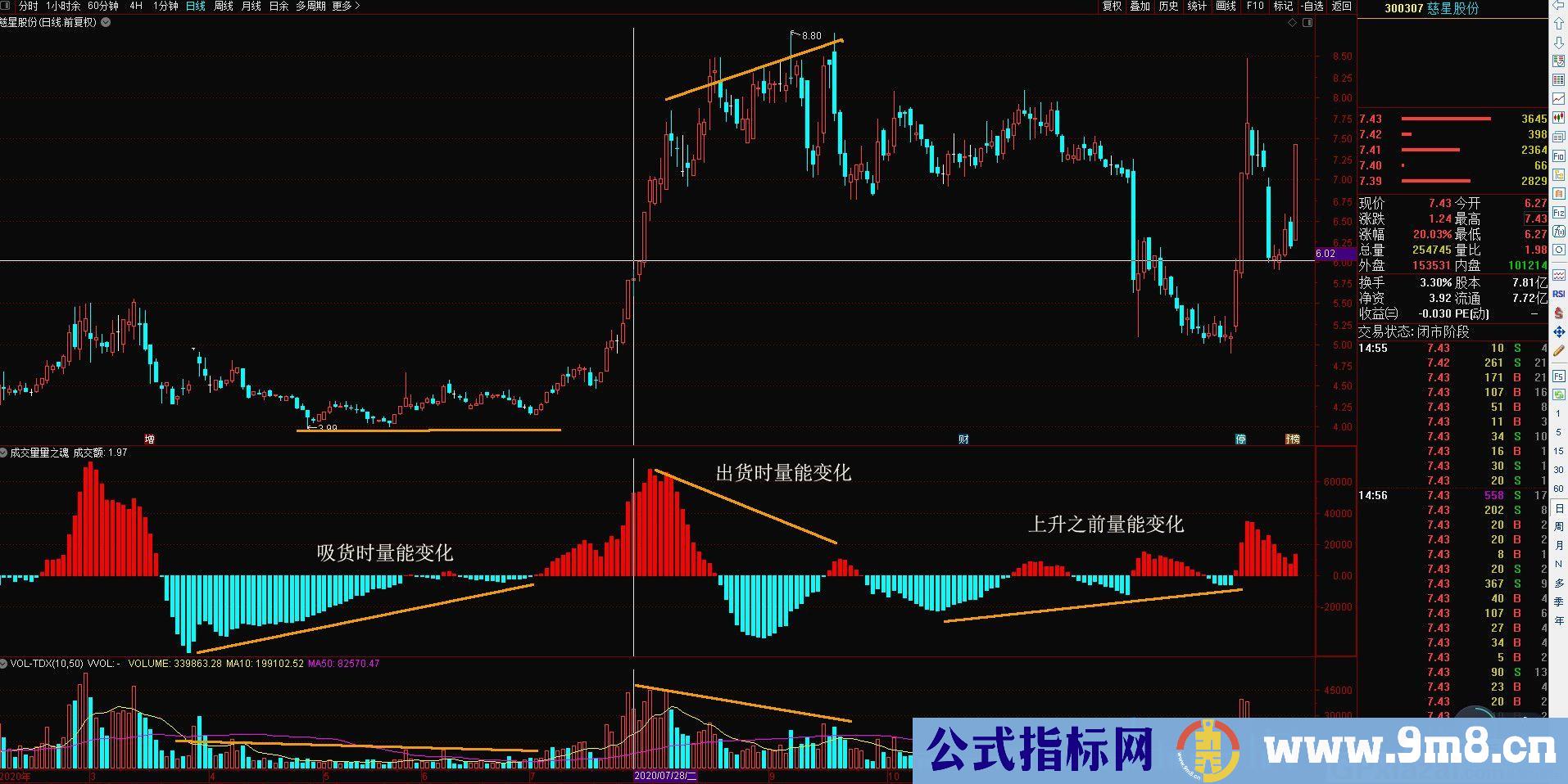 2021版筹码捕捉主升浪 成交量量之魂 通达信副图指标 源码 贴图 无未来