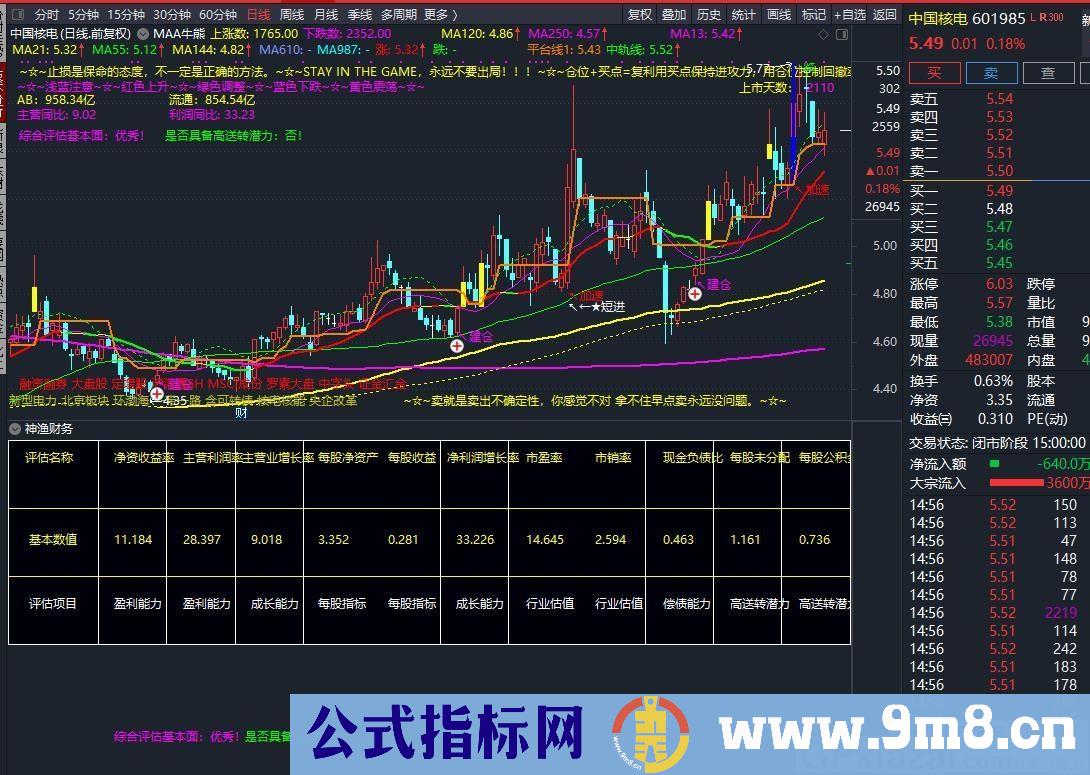 直观看财务分析 通达信副图指标 源码 贴图