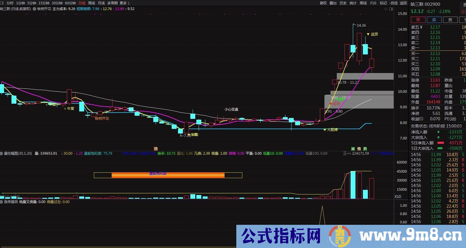 必赚指标 涨停基因 通达信副图指标 九毛八公式指标网