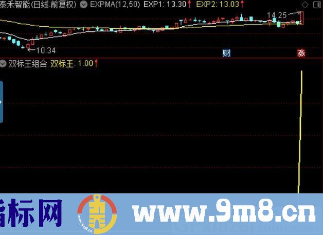 双标王组合 通达信副图/选股指标 源码 贴图 无未来