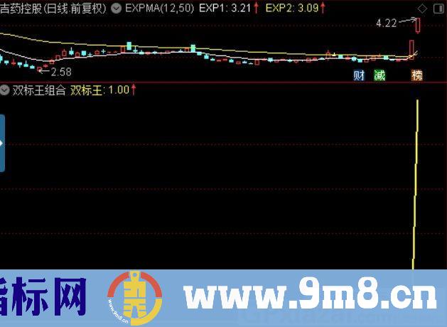 双标王组合 通达信副图/选股指标 源码 贴图 无未来