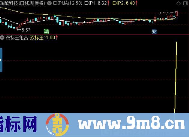 双标王组合 通达信副图/选股指标 源码 贴图 无未来