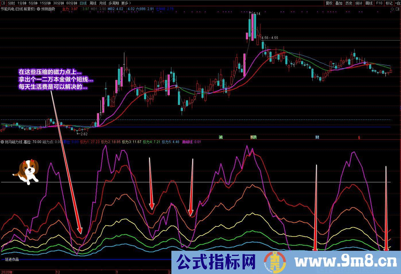 廷进 斑马磁力线 通达信副图指标 源码 贴图