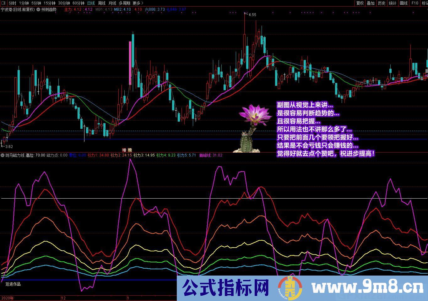 廷进 斑马磁力线 通达信副图指标 源码 贴图