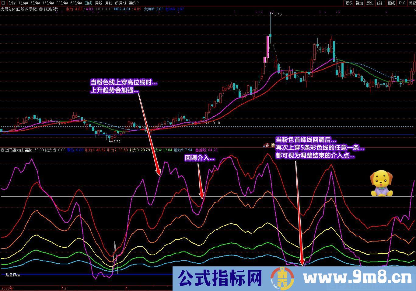 廷进 斑马磁力线 通达信副图指标 源码 贴图