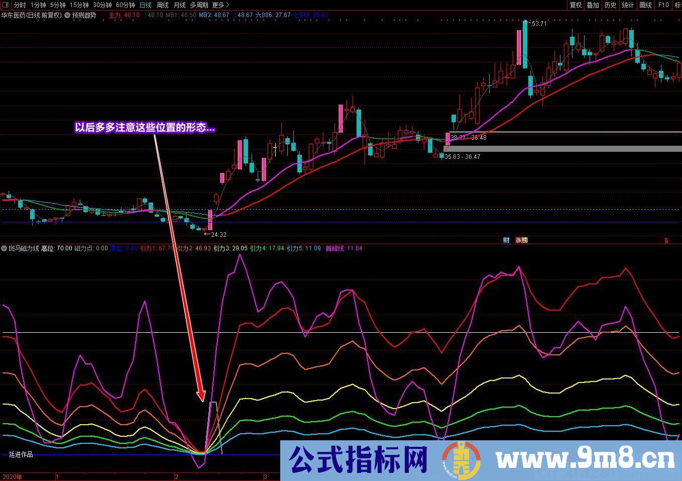 廷进 斑马磁力线 通达信副图指标 源码 贴图