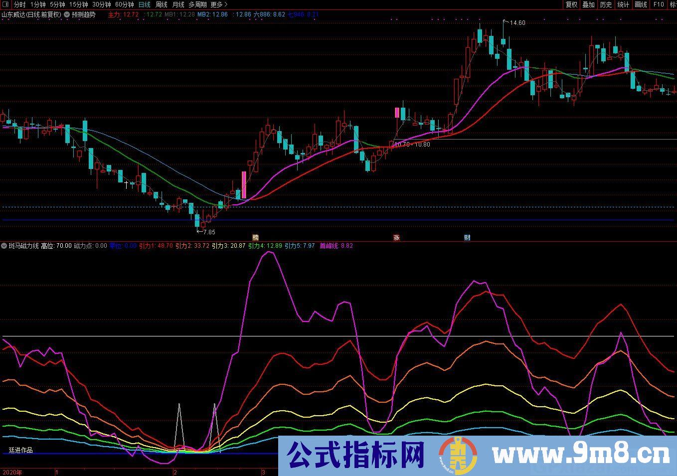 廷进 斑马磁力线 通达信副图指标 源码 贴图