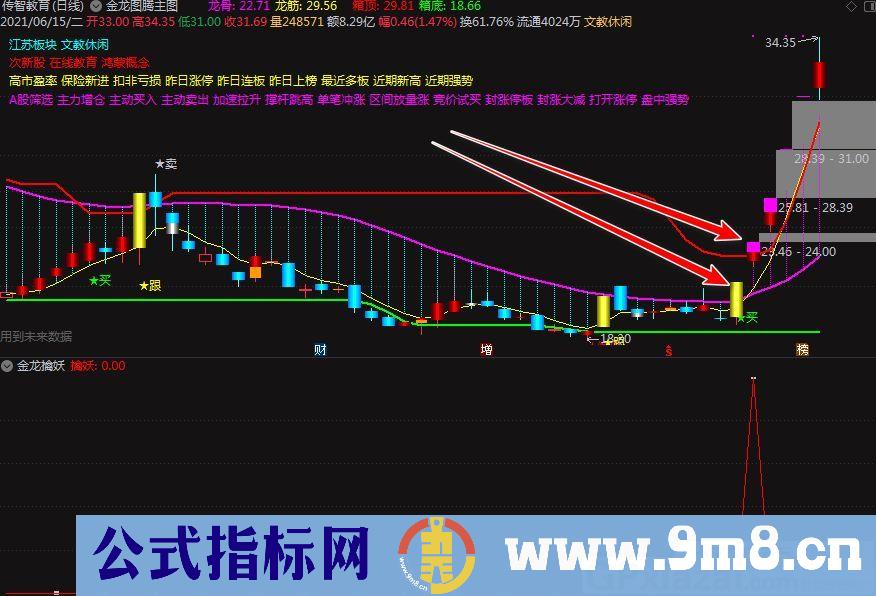 高成功率 追涨专用指标 金龙擒妖 通达信副图/选股指标 源码 贴图 无未来