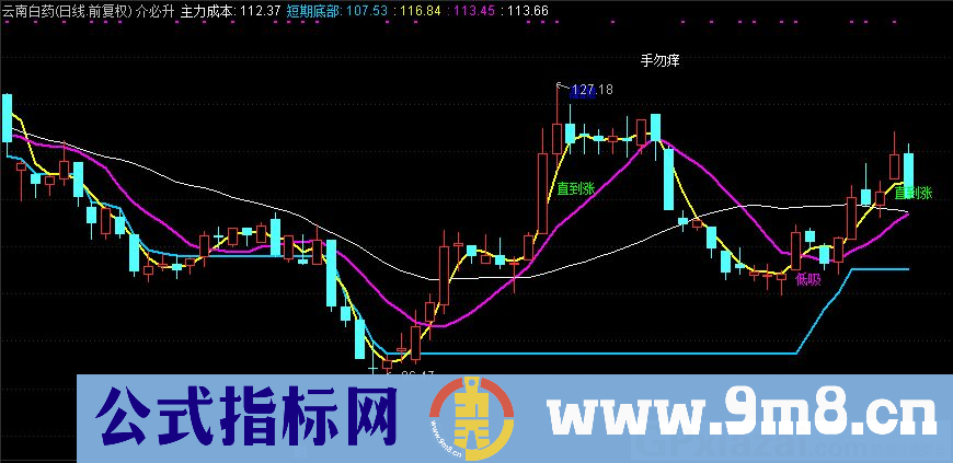 介必升 手勿痒 通达信主图指标 九毛八公式指标网