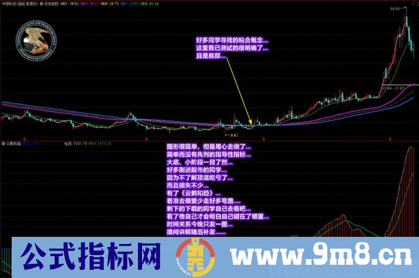 通达信廷进《云鹤知趋》副图指标 九毛八公式指标网 无未来