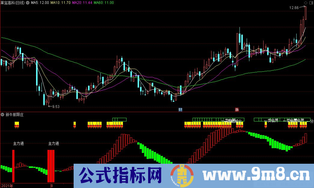 通达信新牛股跟庄副图指标 源码 贴图