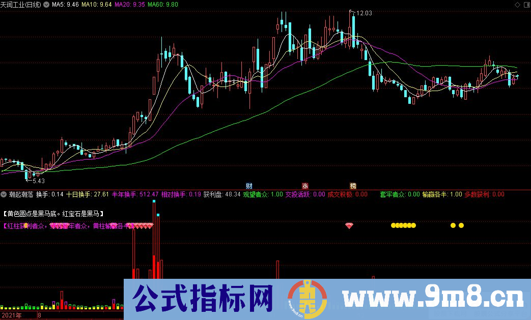 通达信潮起潮落副图指标 出现宝石表示黑马 九毛八公式指标网