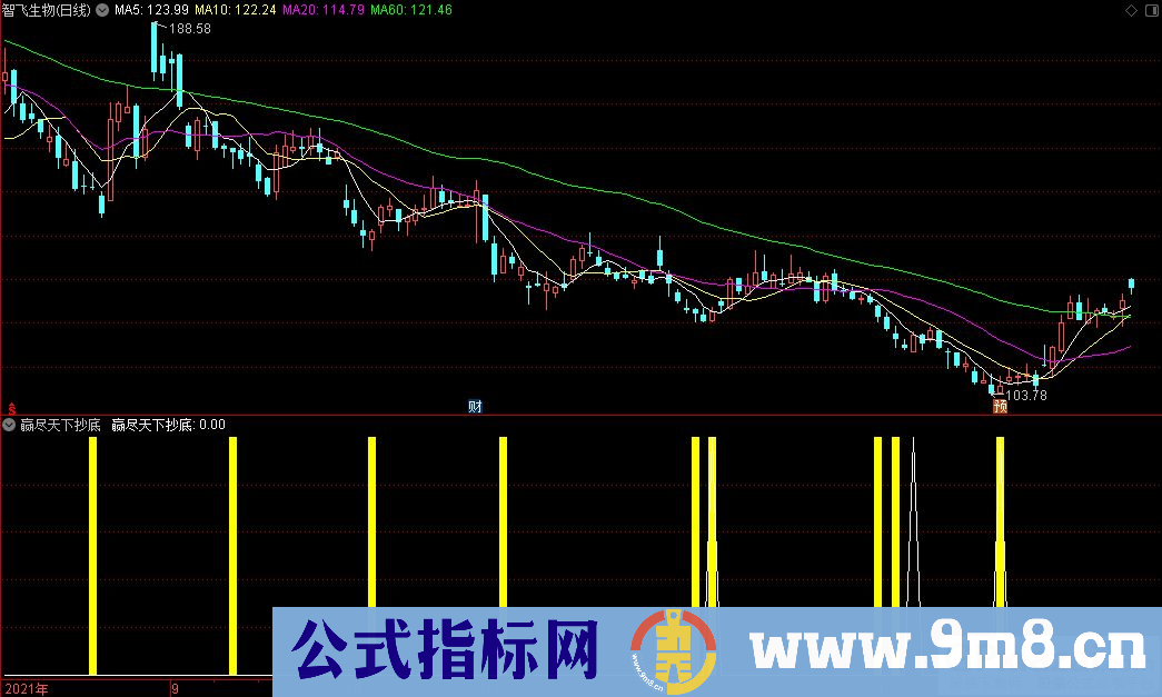 通达信赢尽天下抄底副图指标 源码 贴图